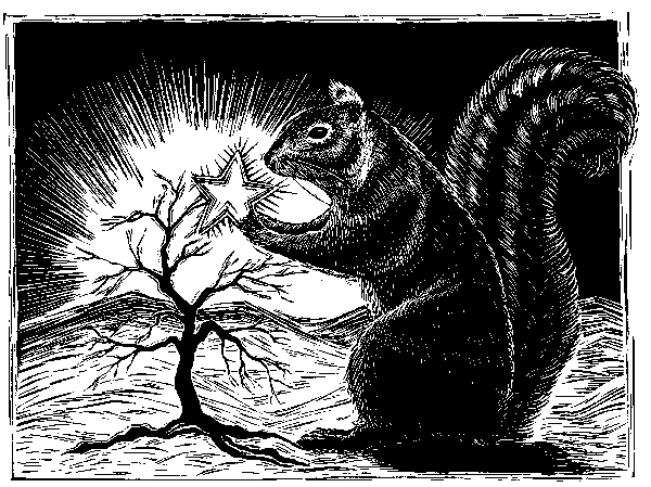Xmas Card - Squirrel